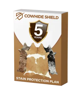 5 Year Stain Protection Plan