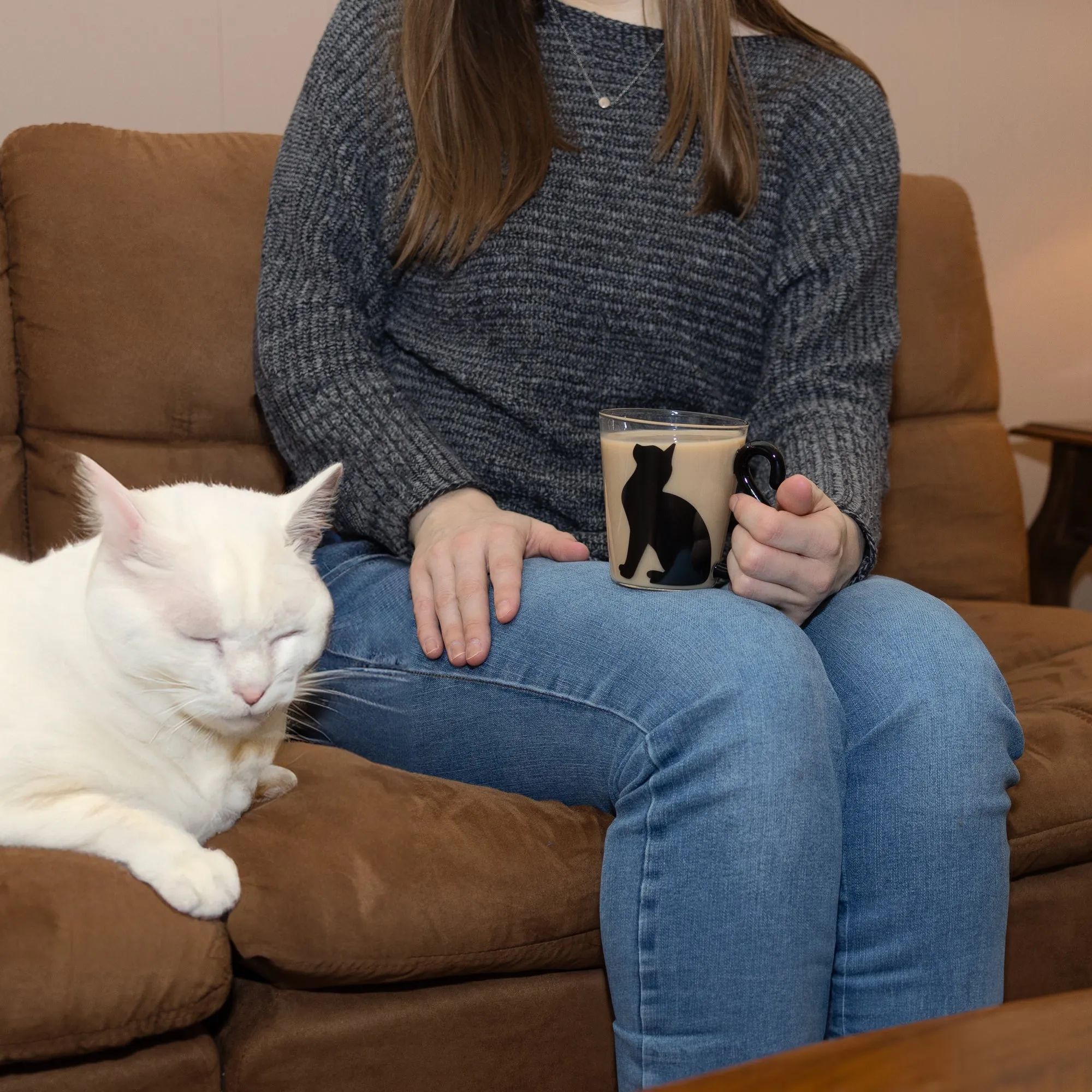 Cat Sitting 12 oz Glass Cup