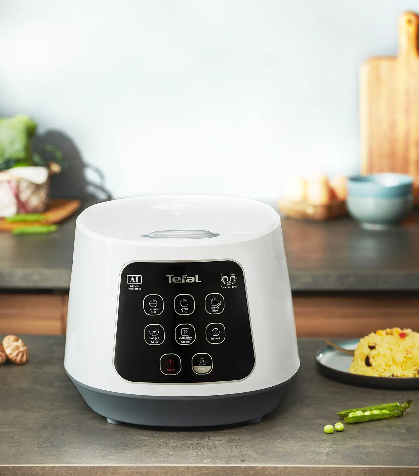 Easy Rice Compact Rice Cooker