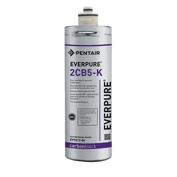 Everpure 2CB Replacement Cartridge