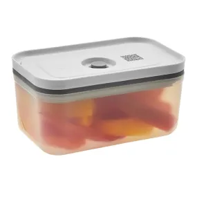 Fresh & Save Medium Rectangular Plastic Vacuum Storage Box