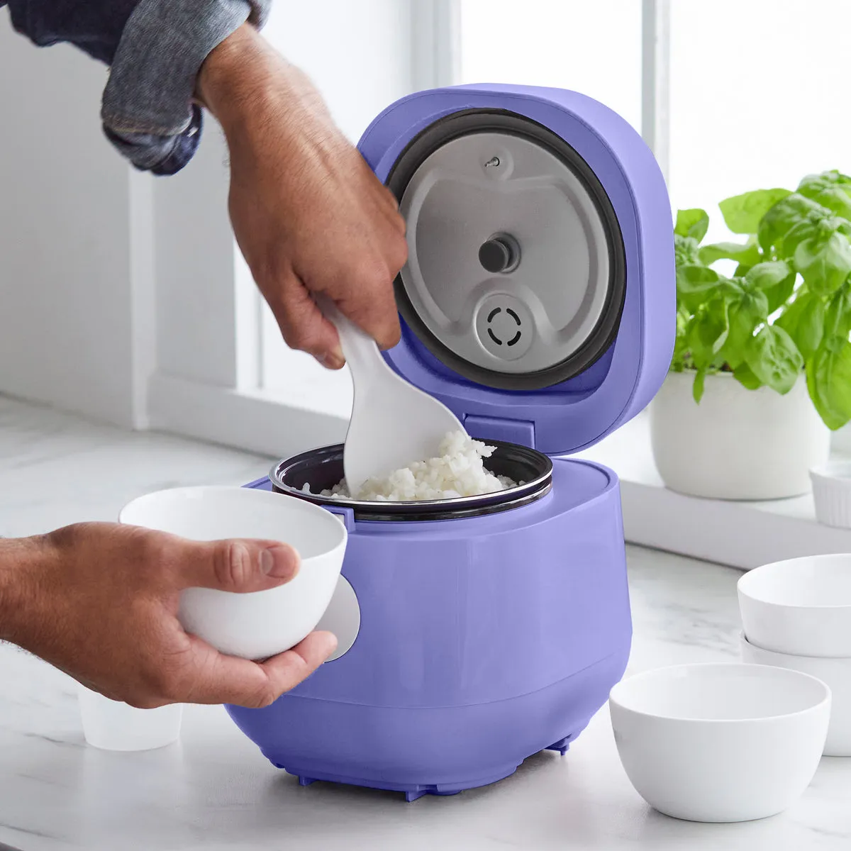 GreenLife Rice & Grains Cooker | Periwinkle