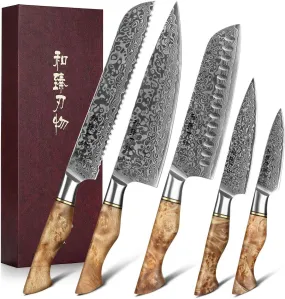 HEZHEN 5PC Kitchen Knives Set-Durable, Vacuum Heat Treated Damascus Steel