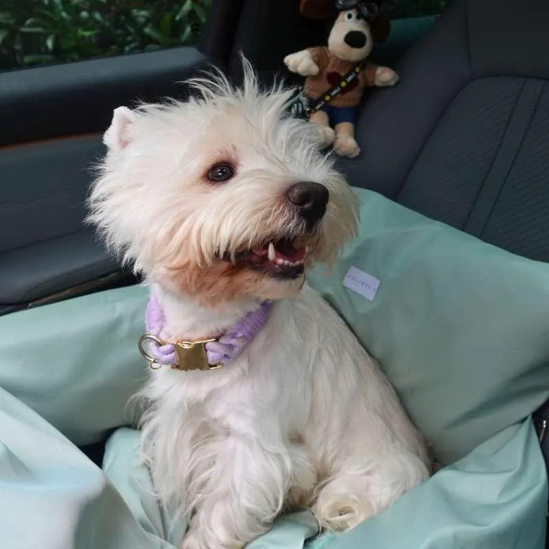 Julibee's Vibrant Waterproof Dog Car Seat | Mint Green | 4 Sizes