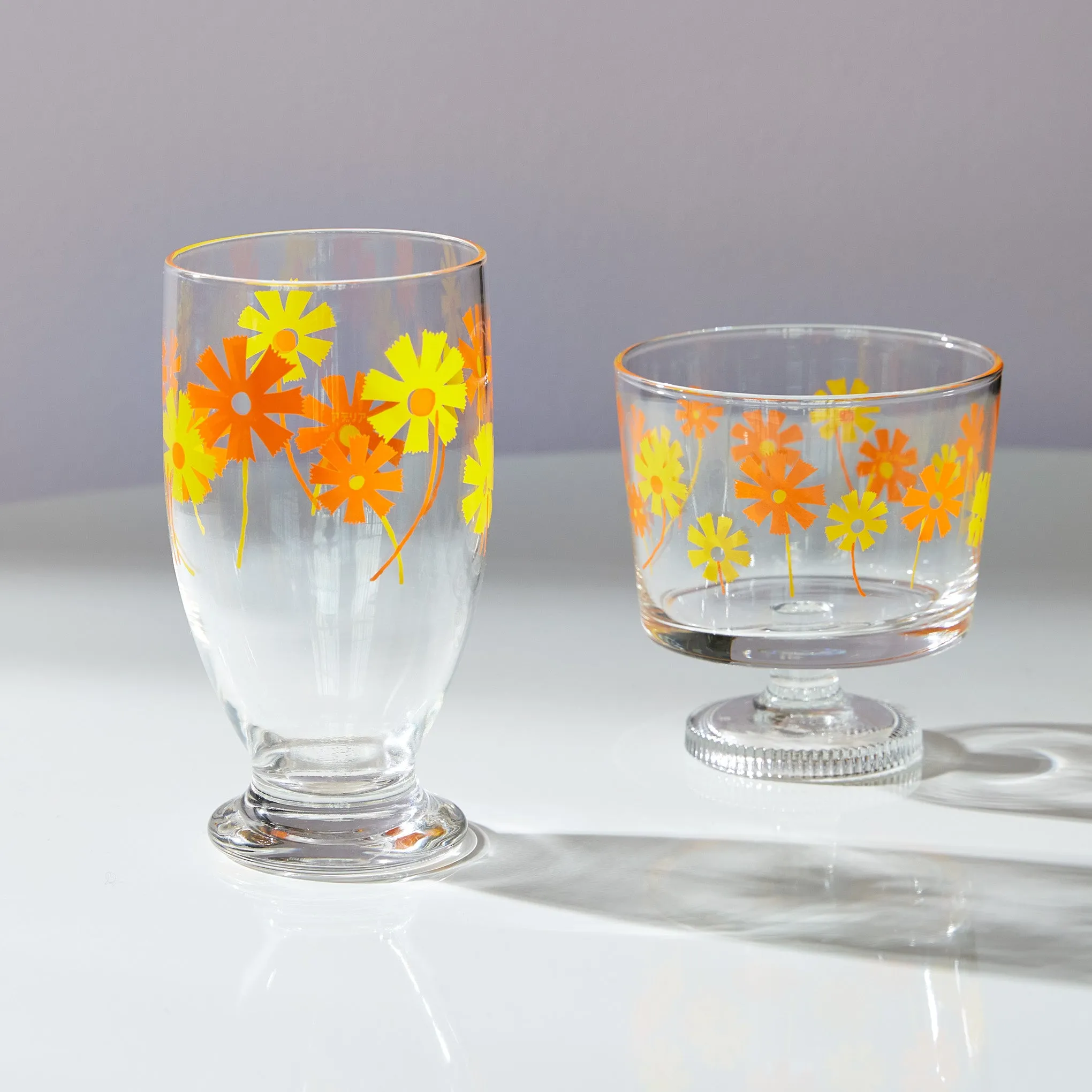 Retro Footed Glass Cup - Cosmos