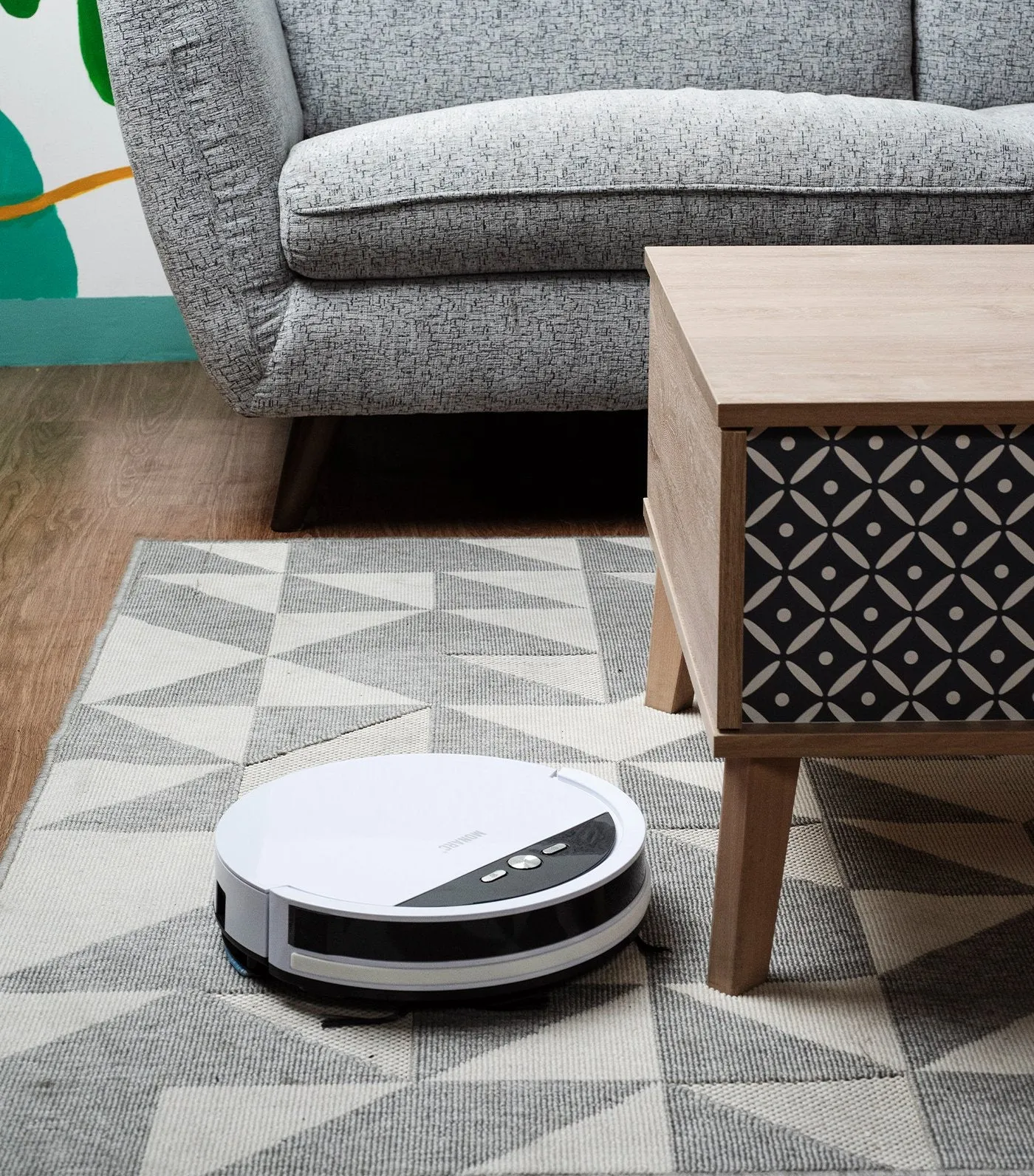 Robotic Vacuum Cleaner