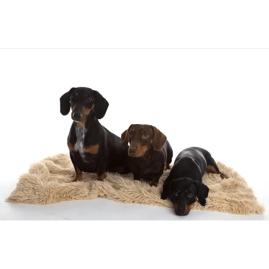 Shaggy Camel Luxury Dog Blanket / Cat Blanket